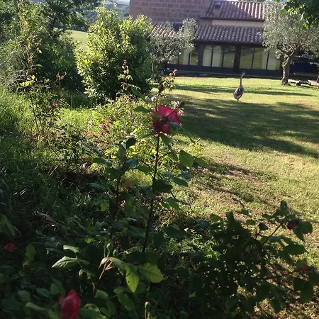 Bed & Breakfast Poggioba